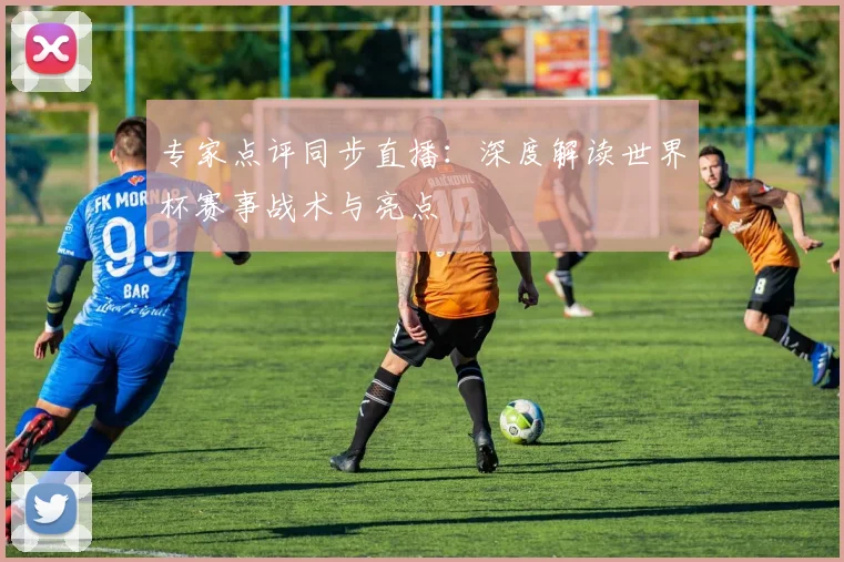 专家点评同步直播：深度解读世界杯赛事战术与亮点