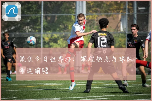 聚焦今日世界杯：赛程热点与球队命运前瞻