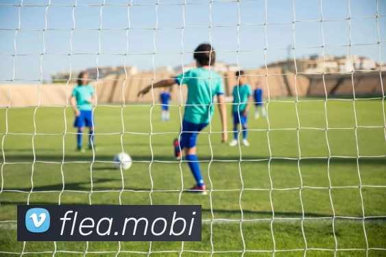 多媒体互动体验