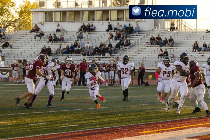 星空官网免费入口APP 高清赛事图